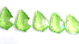 Spring Green French Cut Chandelier Crystals Pack of 5 - ChandelierDesign